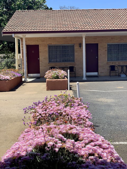 Gilgandra Motel - Hotel NSW 6