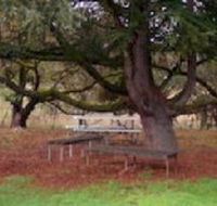 Auburn Shiraz Motel - Hotel NSW