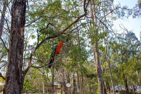 Kalimna Woods Cottages - Hotel NSW 2