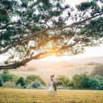 Cedia At Byron Bay Hinterland - Hotel NSW 0