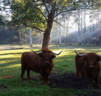 Dingley Dell - Hotel NSW