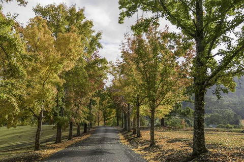 Clarendon Forest Retreat - Hotel NSW 1