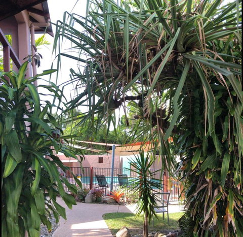 Pandanus Holiday Apartments - Hotel NSW 4
