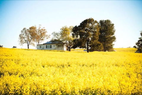 Colenso Country Retreat - Hotel NSW 4