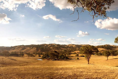 Mittagong Homestead & Cottages - Hotel NSW 2