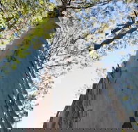 Salisbury Lodges - Hotel NSW