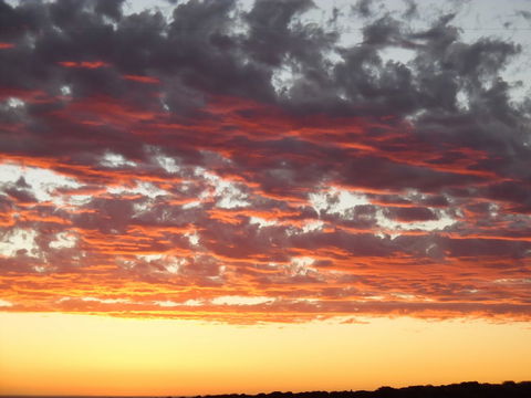 On The Deck @ Shark Bay - Hotel NSW 6