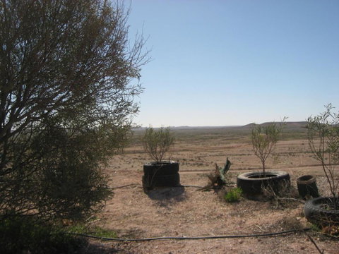 Venushill B+B - Hotel NSW 6
