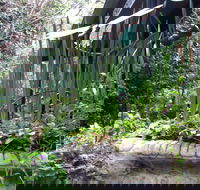 Lemonade Creek Cottages - Hotel NSW