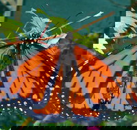 Skydancers Garden Gift  Cafe - Hotel NSW