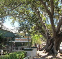 The Season Tree - Hotel NSW