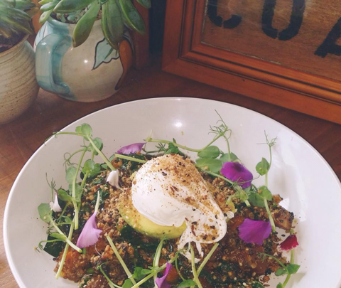 The Shak Organic Cafe & Wine Bar - Hotel NSW 0