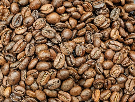 Fishermans Paradise NSW Hotel NSW