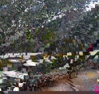 Leonies Little Tree Cafe - Hotel NSW