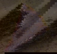 Pizza Paradise - Hotel NSW