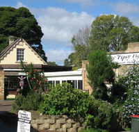 Tipsy Fig - Hotel NSW