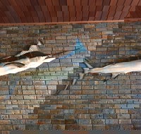 Tonys pizza house - Hotel NSW