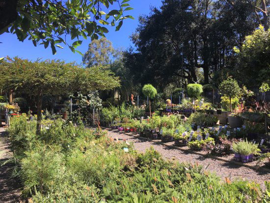 Yatte Yattah NSW Hotel NSW