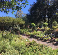 Yatte Yattah Nursery  Cafe - Hotel NSW