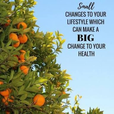 Nelson Bay Health Foods - Hotel NSW 0