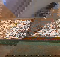 Flaming Bird - Hotel NSW