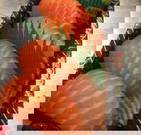 Sushi In - Hotel NSW