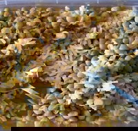 Addil Indian  Kebab Restaurant - Hotel NSW