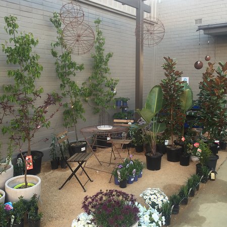 The Gardener's Rest - Hotel NSW 0