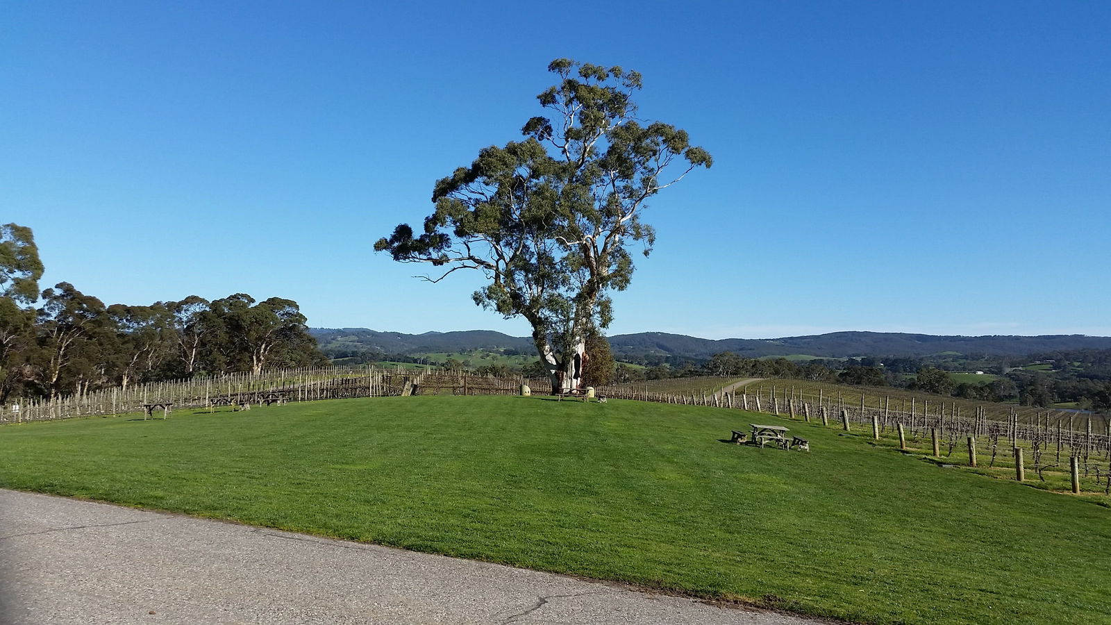  Hotel NSW