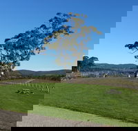 Nepenthe Wines - Hotel NSW