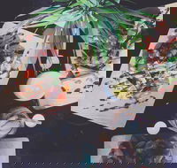 Star Bean Cafe - Hotel NSW