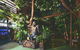 The Jungle - Kent Town Hotel - thumb 0
