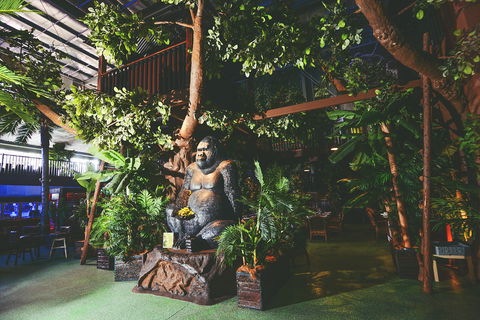 The Jungle - Kent Town Hotel - Hotel NSW 0