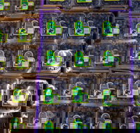 Jolly Berries - Hotel NSW