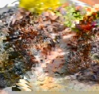 Kofte Co. - Hotel NSW