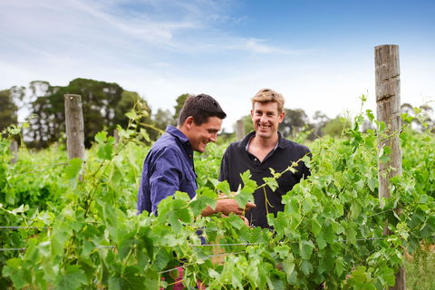 Shadowfax Winery - Hotel NSW 1