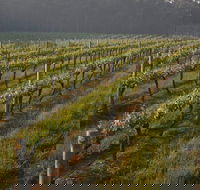 Cape Grace Wines - Hotel NSW