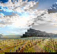 Fallen Giants Vineyard - Hotel NSW