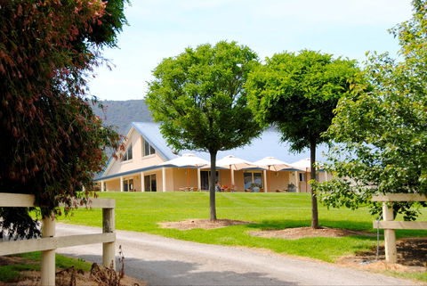 Badger Creek Blueberry Winery - Hotel NSW 0