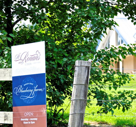 Badger Creek Blueberry Winery - Hotel NSW 1