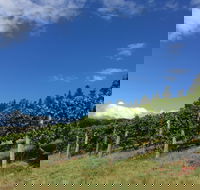 Freycinet Vineyard - Hotel NSW