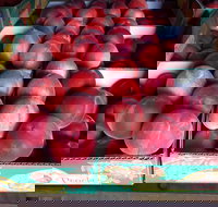 Martins Orchard - Hotel NSW