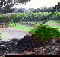 Spring Vale Vineyard - Hotel NSW