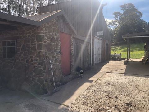 Wilmot Hills Orchard & Distillery - Hotel NSW 1