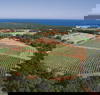 Wise Wine - Hotel NSW