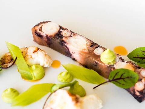 The Wild Herring - Hotel NSW 0