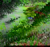 Emerald Springs - Hotel NSW