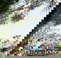St Leonards Vineyard Caf - Hotel NSW