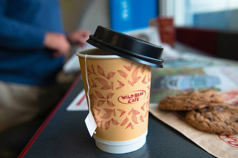 Wild Bean Cafe - Croydon - Hotel NSW 0