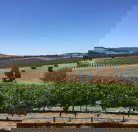 Peerick Vineyard and Winery - Hotel NSW